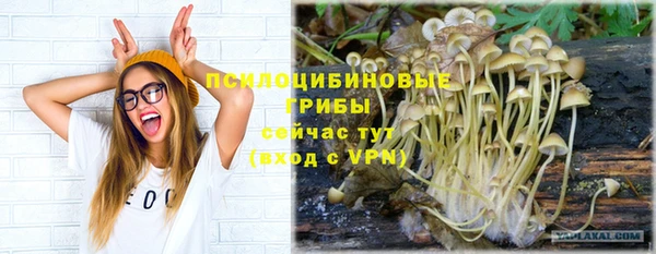 героин Алексин