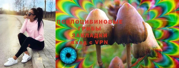 героин Алексин