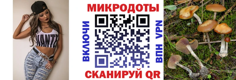блэк спрут сайт  где купить   Аргун  Псилоцибиновые грибы мухоморы 
