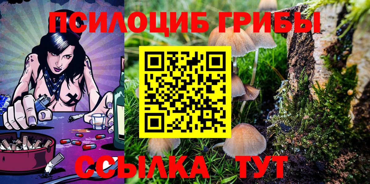 Аргун  Галлюциногенные грибы GOLDEN TEACHER  Вход с VPN 